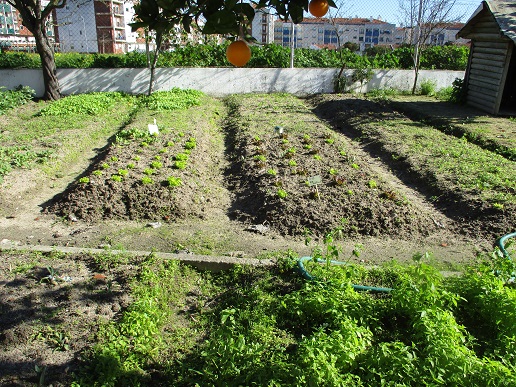 horta